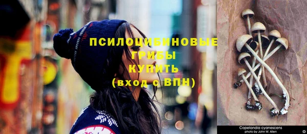 шишки Зеленокумск