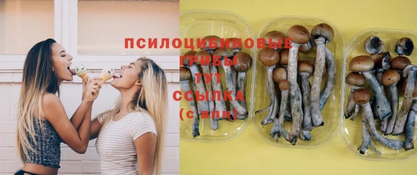 крисы Инта