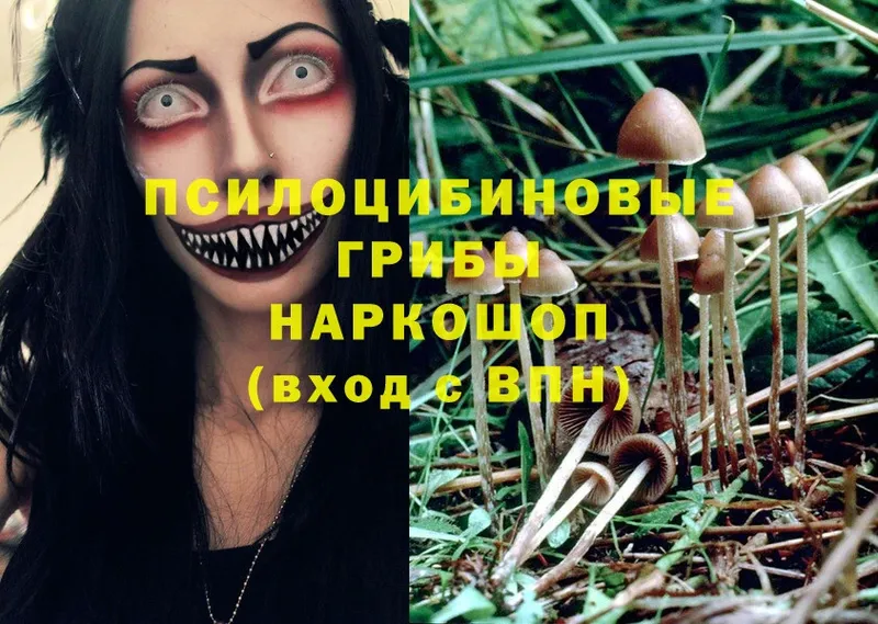 OMG зеркало  это формула  Псилоцибиновые грибы ЛСД  Малмыж 