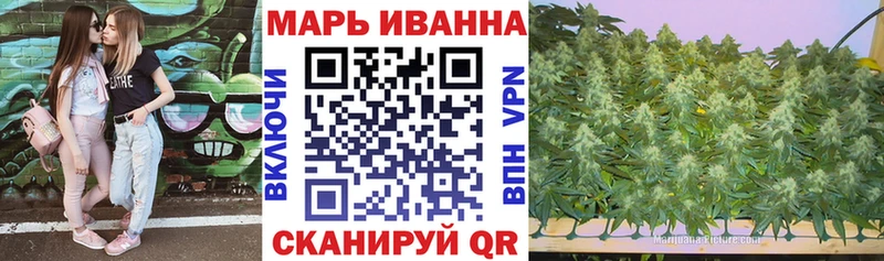 где купить   Малмыж  Каннабис марихуана 